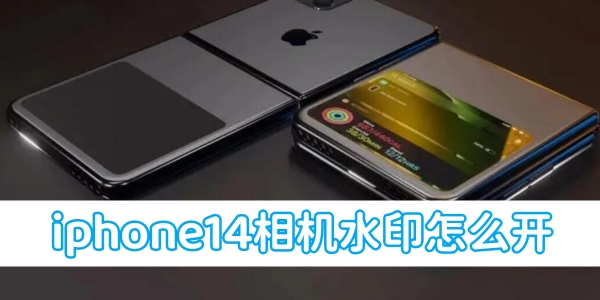 如何在iPhone 14相机上启用水印功能