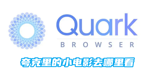 在哪里观看夸克里的小电影