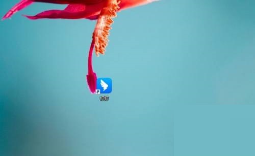 如何将钉钉运动置顶？- 详细教程指南