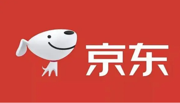 如何查看《京东》的年度财务总结