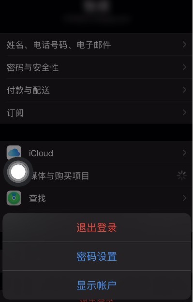 苹果手机怎么使用人脸识别下载应用_苹果手机使用人脸识别下载应用教程分享