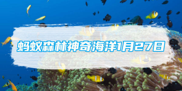 江白菜是什么海洋生物？- 蚂蚁森林神奇海洋 1月27日