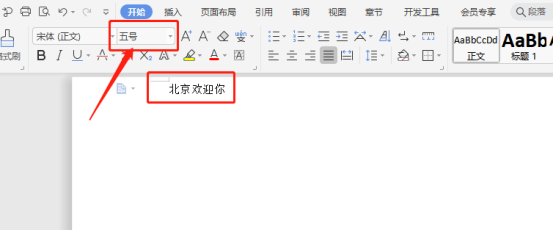 如何调整WPS文档的字体大小？详细指南供您参考！