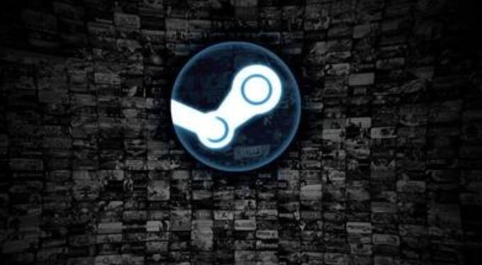 如何设置Steam的隐私选项