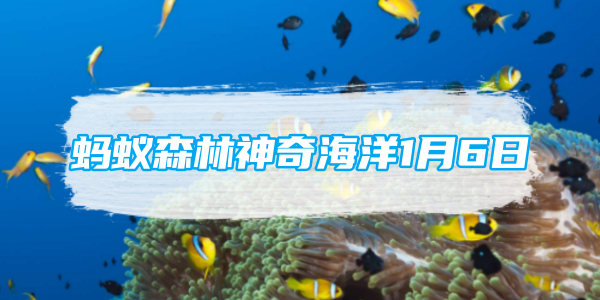 1月6日蚂蚁森林神奇海洋：皮皮虾被归类为哪种海洋生物？