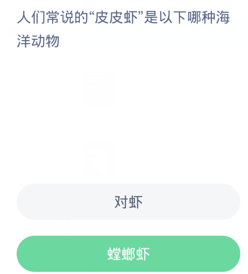 蚂蚁森林神奇海洋1月6日：人们常说的皮皮虾是以下哪种海洋动物