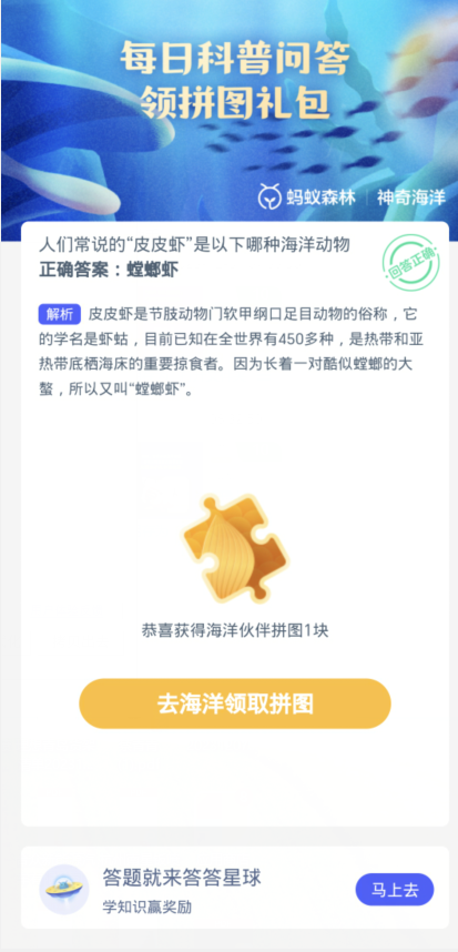 蚂蚁森林神奇海洋1月6日：人们常说的皮皮虾是以下哪种海洋动物