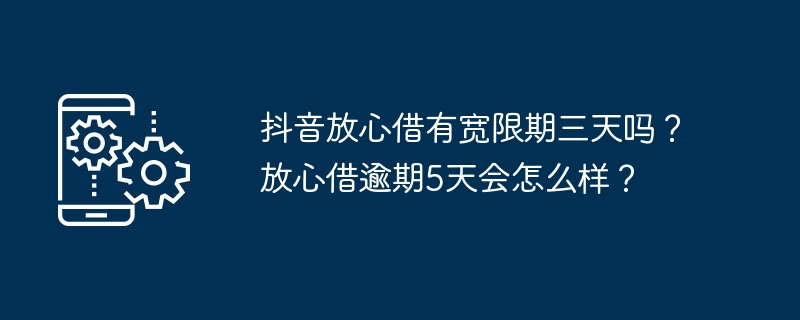 放心借款的宽限期和逾期情况解释