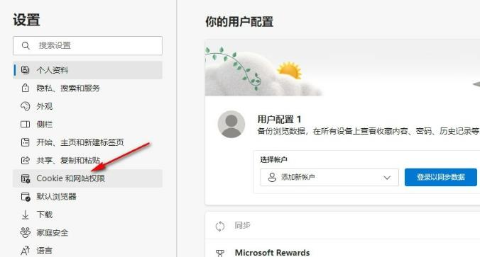 Edge浏览器如何更改站点权限?Edge浏览器更改站点权限方法