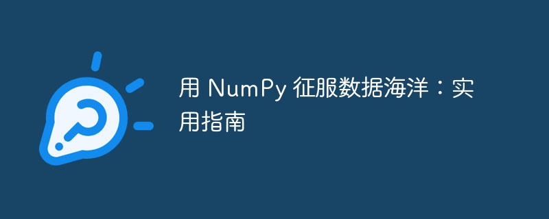 用 NumPy 征服数据海洋:实用指南