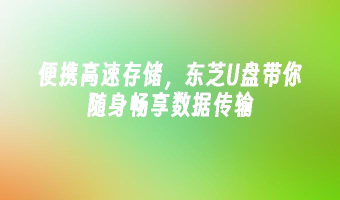 便携高速存储,东芝U盘带你随身畅享数据传输
