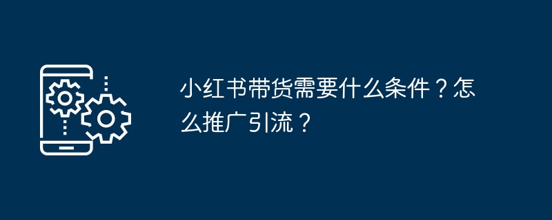 小红书带货需要什么条件?怎么推广引流?