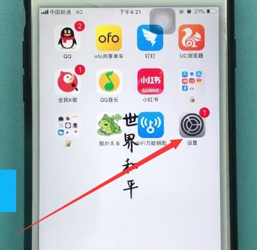 苹果手机打开个人热点的简单方法