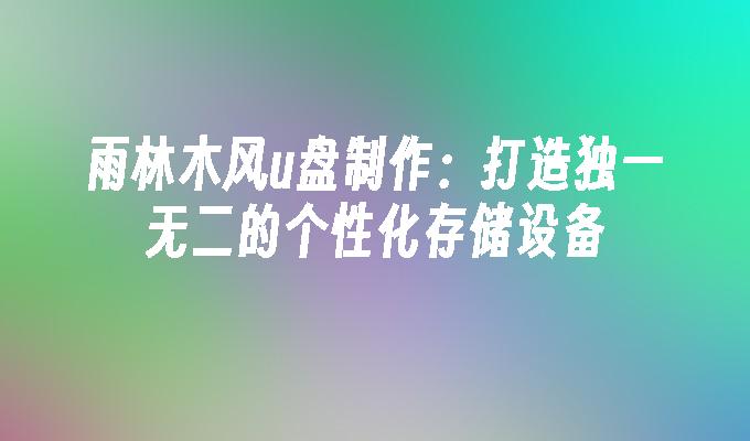 雨林木风u盘制作:打造独一无二的个性化存储设备