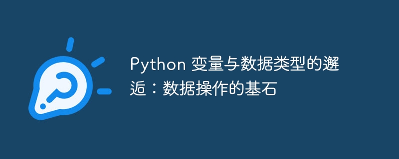Python 变量与数据类型的邂逅:数据操作的基石