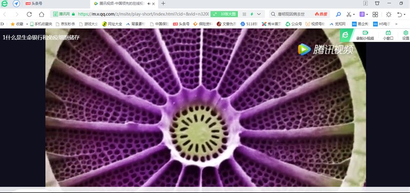 如何下载网页视频到电脑 附:网页中的视频下载方法
