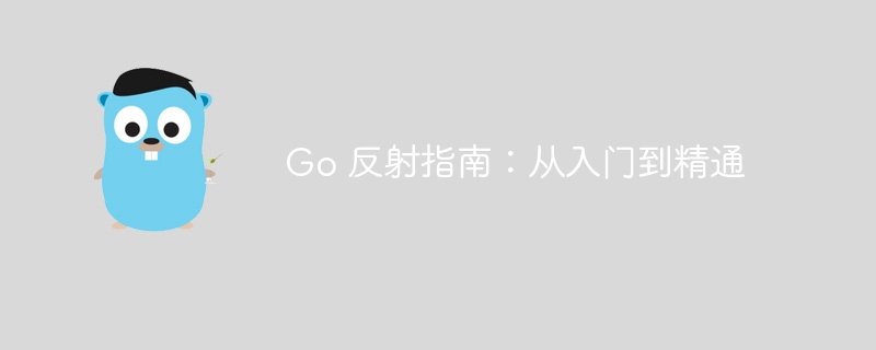 Go 反射指南:从入门到精通
