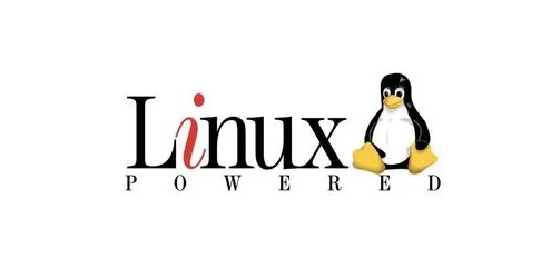 php取数组的值并去掉可以吗