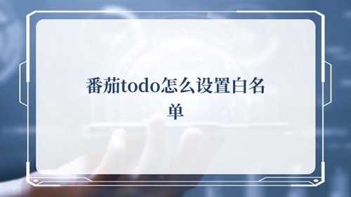 番茄ToDo怎么设置白名单 番茄ToDo设置白名单的方法