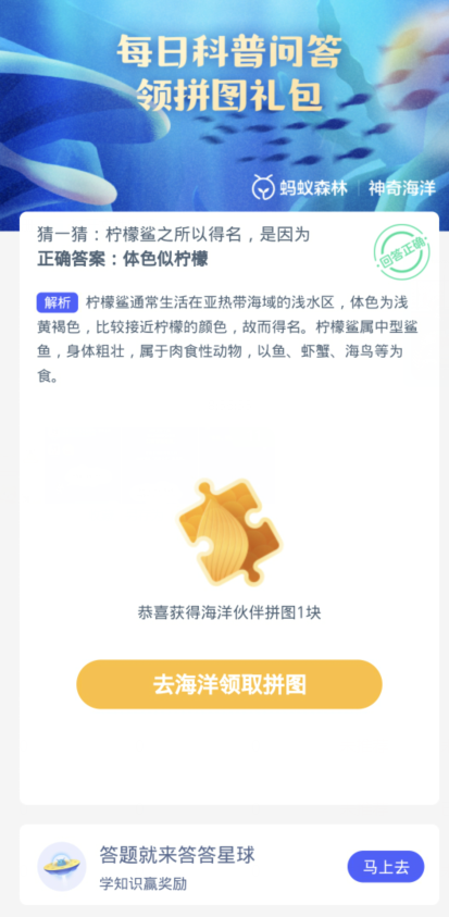 蚂蚁森林神奇海洋1月11日：柠檬鲨之所以得名是因为