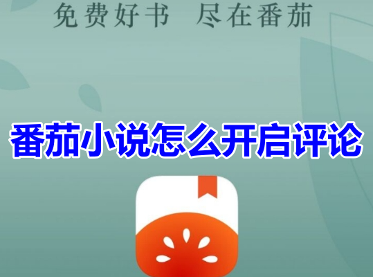 番茄小说怎么开启评论呢?分享番茄小说评论功能开启方法!