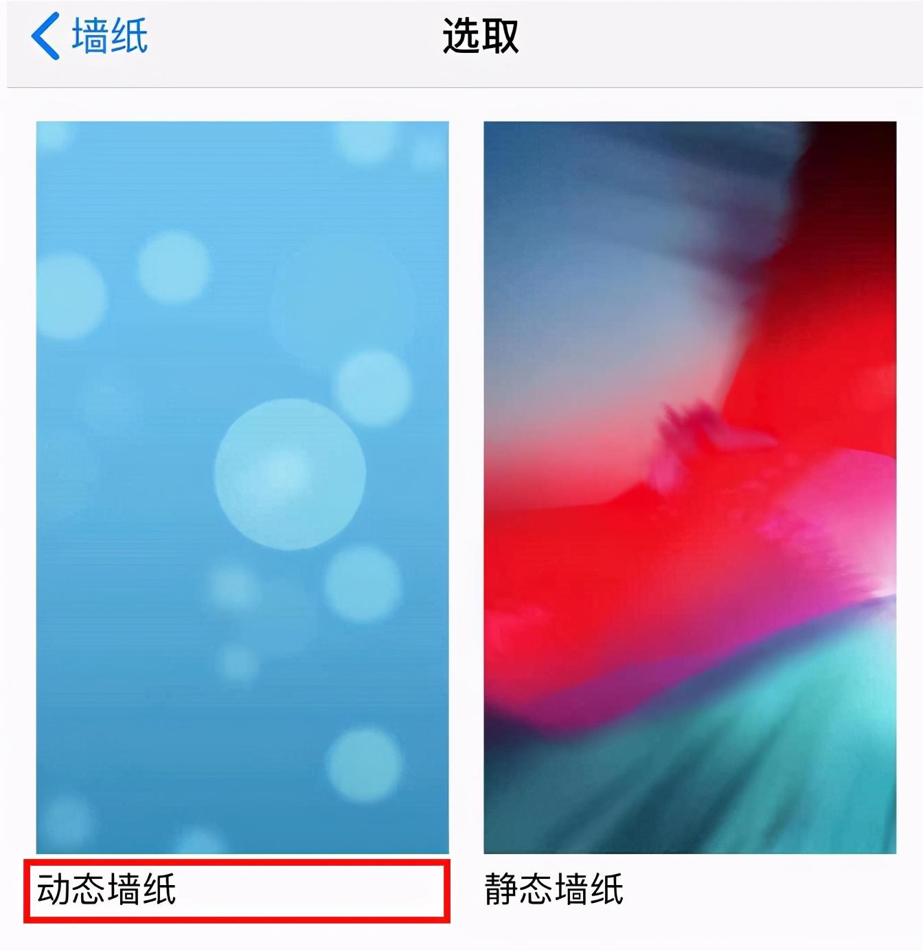 苹果13怎么设置动态壁纸 附:苹果手机设置动态壁纸的方法