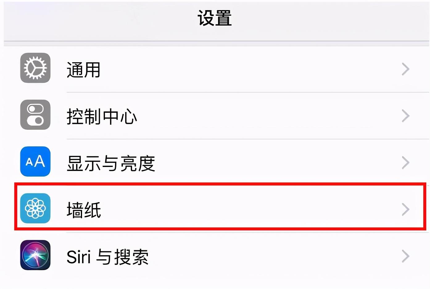 苹果13怎么设置动态壁纸 附:苹果手机设置动态壁纸的方法