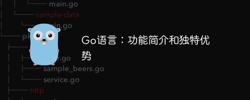 Go语言:功能简介和独特优势