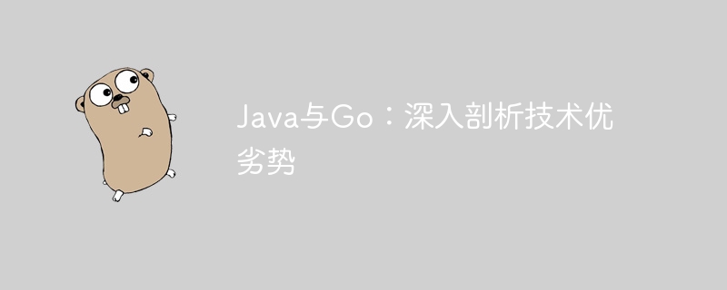Java与Go:深入剖析技术优劣势
