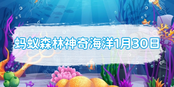 蚂蚁森林神奇海洋1月30日：以下哪种海洋生物经常附着在船底和海洋设备上生活