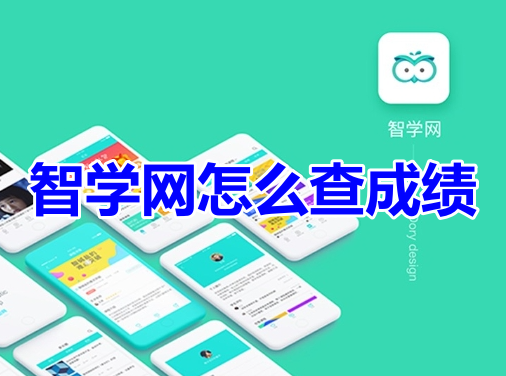 智学网怎么查成绩呢?智学网成绩查询方法!