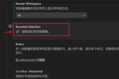 Vscode怎么设置选区有圆角_Vscode设置选区有圆角教程