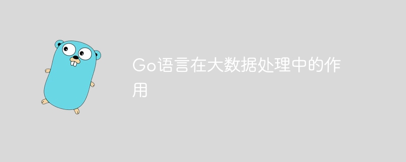 Go语言在大数据处理中的作用