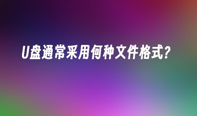 U盘通常采用何种文件格式?