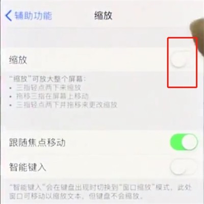 iphonex中使用缩放的操作步骤
