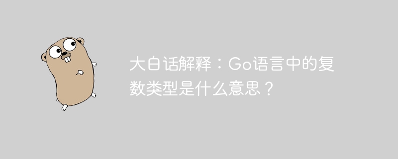 大白话解释:Go语言中的复数类型是什么意思?