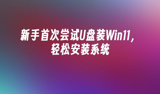 新手首次尝试U盘装Win11,轻松安装系统