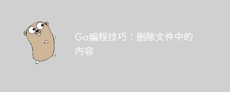 Go编程技巧:删除文件中的内容