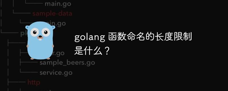 golang 函数命名的长度限制是什么?