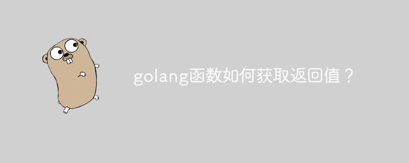 golang函数如何获取返回值?
