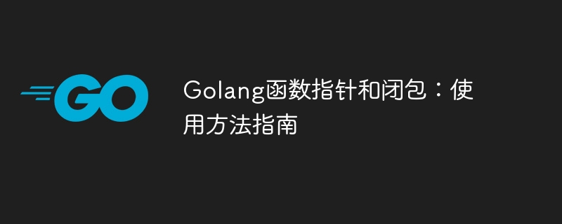 Golang函数指针和闭包:使用方法指南