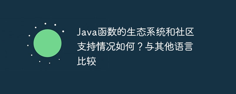 Java函数的生态系统和社区支持情况如何?与其他语言比较
