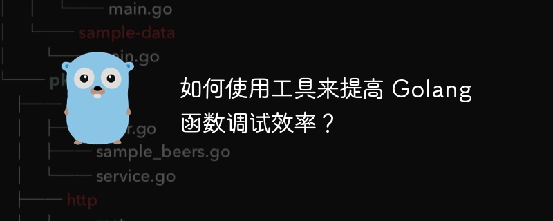 如何使用工具来提高 Golang 函数调试效率?