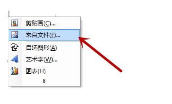 word2003插入图片并调整的详细方法