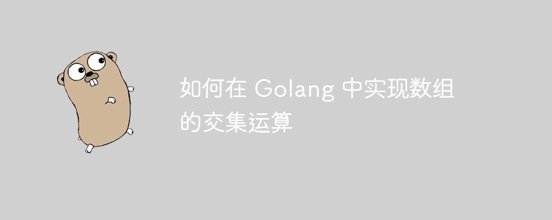 如何在 Golang 中实现数组的交集运算