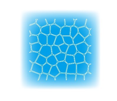 ai绘制龟裂效果的具体步骤