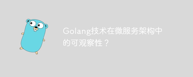 Golang技术在微服务架构中的可观察性?