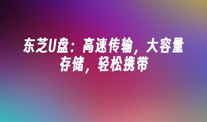 东芝U盘:高速传输,大容量存储,轻松携带