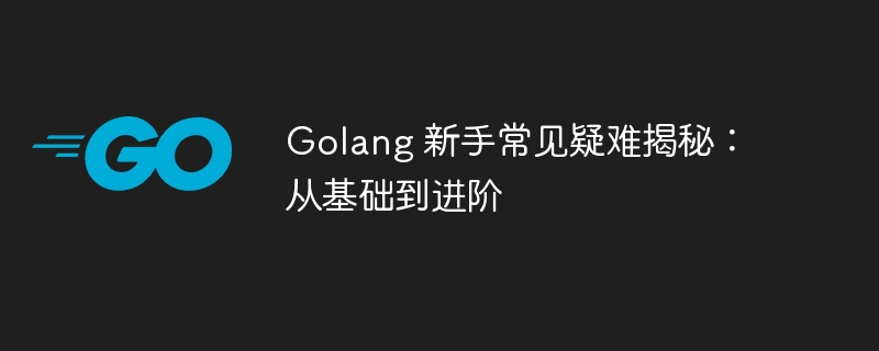 Golang 新手常见疑难揭秘:从基础到进阶