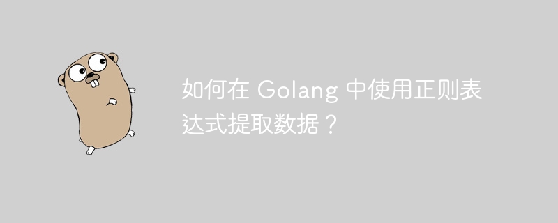 如何在 Golang 中使用正则表达式提取数据?